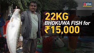 Magh Bihu: Fish Prices Soar to ₹1500/kg at Uruka Market, 22kg Bhokuwa Sold for ₹15,000 | Guwahati