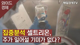 집중분석 셀트리온, 주가 일어설 기미가 없다? / 와이드경제 / 매일경제TV