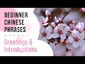 Basic Greetings and Introducing Yourself | Beginner's Chinese Phrases #1