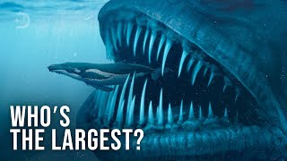 10 Largest Animals in History