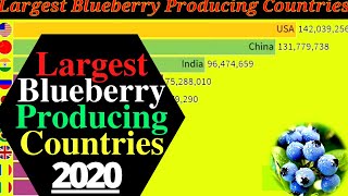 Largest blueberry producing countries 2020 | Top 10 Largest Blueberry Producing Country In the world