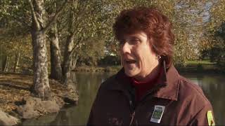 Grant's Getaways: Trout 365