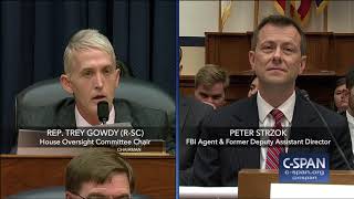 Complete exchange between Rep. Trey Gowdy and FBI Deputy Assistant Director Peter Strzok