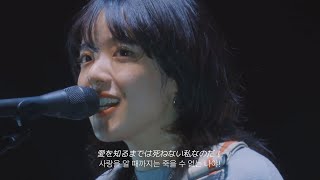 [한글자막] あいみょん - 愛を知るまでは live / 아이묭 사랑을 알 때까지는 라이브