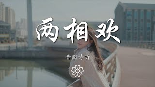 音闕詩聽 - 兩相歡『傾心兩難還 今日夜闌珊』【動態歌詞Lyrics】