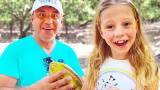 Nastya and dad went on a cocoa tour to see how chocolate is made