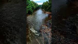 ஊட்டி ரிசர்வ் ஃபாரஸ்ட் /reserve forest / முள்ளி காட்டாரு