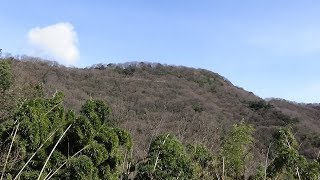 大崎下島の一峰寺山　（広島2018.1.14）　山登り