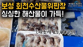 보성 회천수산물위판장을 소개합니다!! [배대열의 세상만사]