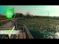 cuyahoga valley national park the beaver marsh