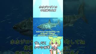 【ずんだもん解説】ホホジロザメの不思議な生態　#shorts #ずんだもん #生き物 #魚 #解説