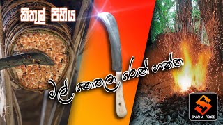 Sri Lankan Ancient Kithul Knife Making Technology