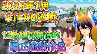 【Steam遊戲資訊】2025年1月 12款值得期待的獨立遊戲作品 【奈我 NaiWo】