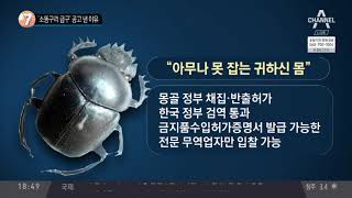 ‘소똥구리 급구’ 공고 낸 이유