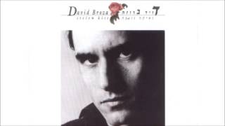 דויד ברוזה - ביקור מולדת //  David Broza - Homecoming