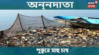 অন্নদাতা | মাছ পরিচর্যার খুঁটিনাটি