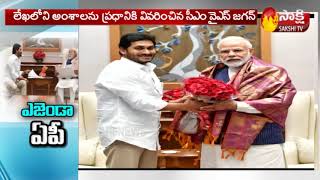 సీఎం వైఎస్‌ జగన్‌ ప్రధానికి విన్నవించిన  అంశాలు  |  CM YS Jagan Meet PM Modi |Sakshi TV