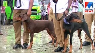 Specially trained dogs for law and order handling in Kochi | Manorama News