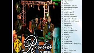 REVOLVER CANNABIS   LA REYNA DEL SUR  EN VIVO  DESDE OBREGON SONORA