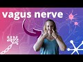 Don’t Overlook this Vagus Nerve Acupressure👃Point