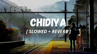 🌹 Chidiya Lofi Lyrical Video | 🎧Lofi/Chilled Music🎧 | Music Spark