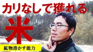 カリの基礎。意外とわかってない３要素