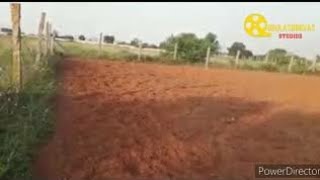 Farm Lands sale hyderbad(ఫామ్ ల్యాండ్స్ సేల్ ఇన్ హైదరాబాద్) | 8978410141 |By Obula Srinivas