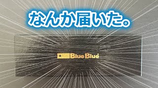 BlueBlueの工場長から送られてきたルアーでシーバス狙ってみた。【2024年12月15日】