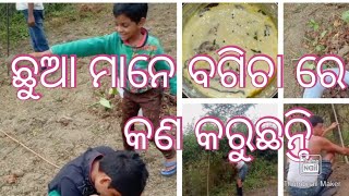 ଛୁଆ ଙ୍କ କାମ ଦେଖନ୍ତୁ,ଦହି ବାଇଗଣ କାହାର ପସନ୍ଦ୍,ଅଁଳା କିଏ ଖାଇବ🥰#sabitamahapatra