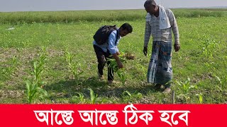 চরে আস্তে আস্তে সব ঠিক হবে | rural life in bangladesh  | mahamudul hasan | Y Bee