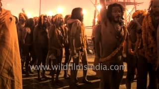 Naga sadhus riding on horses at the royal bath procession in Allahabad