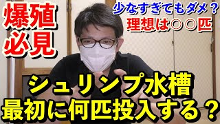 【レッドビーシュリンプ】シュリンプ水槽最初に何匹投入したら良いか？（アクアリウム）