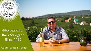 #borozzotthon Sauvignon Blanc 2019