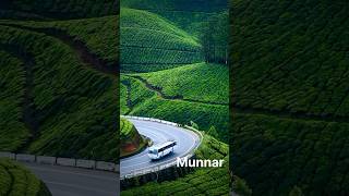 Munnar Hill Station | Idukki Gold | Munnar Tea Plantation | Munnar Spices Plantation |