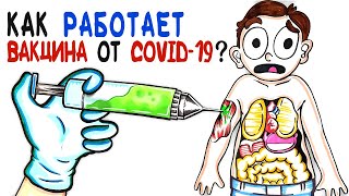 Как работает мРНК вакцина от COVID-19? [AsapSCIENCE]