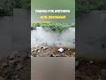 വീടുകൾ സ്ഥലങ്ങൾ തെങ്ങിൻ തോപ്പ് റബർ തോട്ടങ്ങൾ എന്നിങ്ങനെ പ്രോപ്പർട്ടികൾ വാങ്ങുന്നതിന് ബന്ധപ്പെടുക