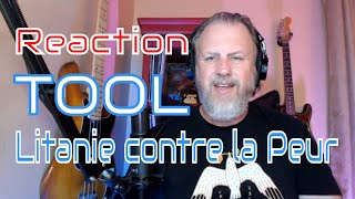 TOOL - Litanie contre la Peur - Invincible - First Listen/Reaction