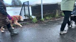 River Mersey. Flooding. Didsbury Manchester. 1 January 2025.