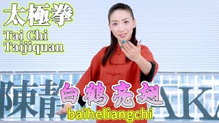 【太極拳】白鹤亮翅  【Tai Chi】baiheliangchi