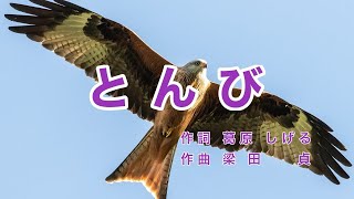 とんび｜とび｜歌詞付き｜飛べ飛べ とんび 空高く