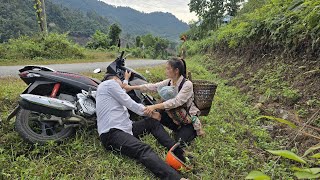 Single mother picking palm tubers to sell - Discovered the director had an accident on the way home