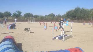 20240511 Cubas Truco Jumping