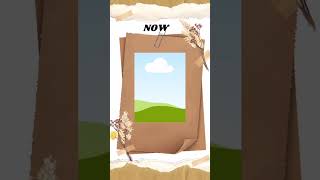 My Developmental E-Portfolio