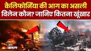 Los Angeles California Fire: America के कैलिफोर्निया की आग का असली विलेन कौन? |California Wildfire