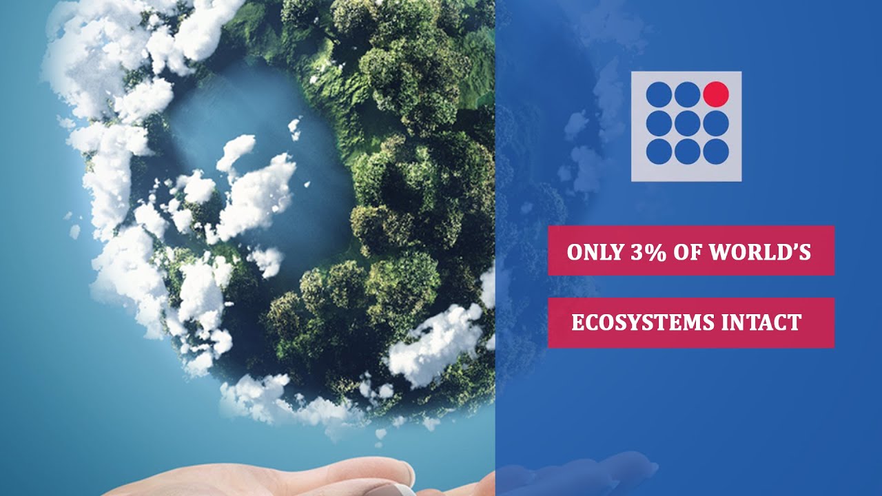 Only 3% Of World’s Ecosystems Intact - YouTube