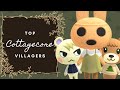 TOP COTTAGECORE VILLAGERS FOR YOUR COTTAGECORE THEMED ISLAND | Animal Crossing New Horizons
