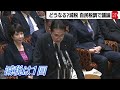 どうなる？減税　自民党税調で議論が本格化【テレ東政治リポート】（2023年11月10日）