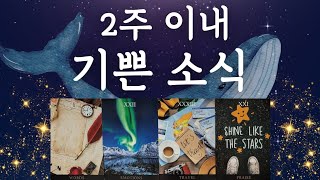 ✴️타로✴️ 2주 안에 다가오는 기쁜소식🕊🌟영상 시청 시점🌟