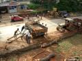 men loading neem tree into tractor trailer at dharwad