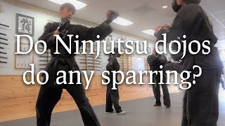 Do Ninjutsu dojos do any sparring?